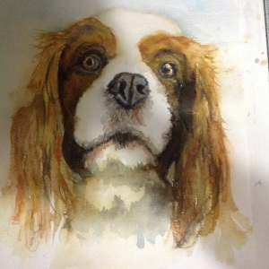 Sonny King Charles spaniel in watercolour, fast paint technique, needs completing