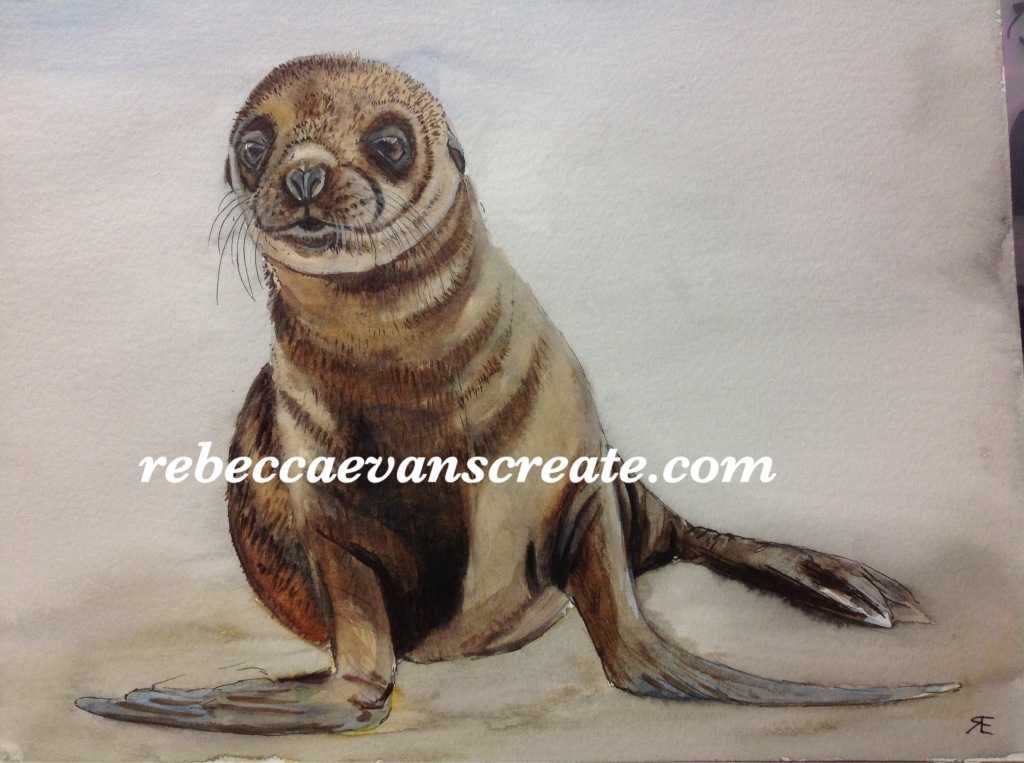 'Simon the seal' ink and watercolour #naturedoodlewash
