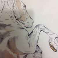 'Atrasus' watercolour horse