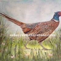 'Meandering in the meadow' pheasant art