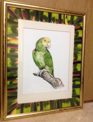 'In thought' parrot watercolour, 30x40 cm framed and mounted. Mount is covered in feathers from the parrot which were shed during his life time. This is a request from a patient at work, a memory of a special friend sadly missed