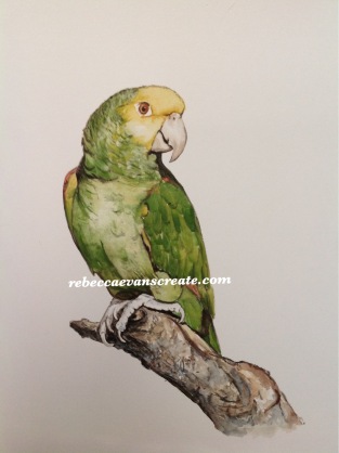'In thought' memory of ' minnie' parrot watercolour, 30x40 cm framed and mounted. Mount is covered in feathers from the parrot which were shed during his life time. This is a request from a patient at work, a memory of a special friend sadly missed