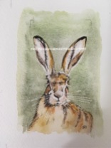 Watercolour hare, ink and wash