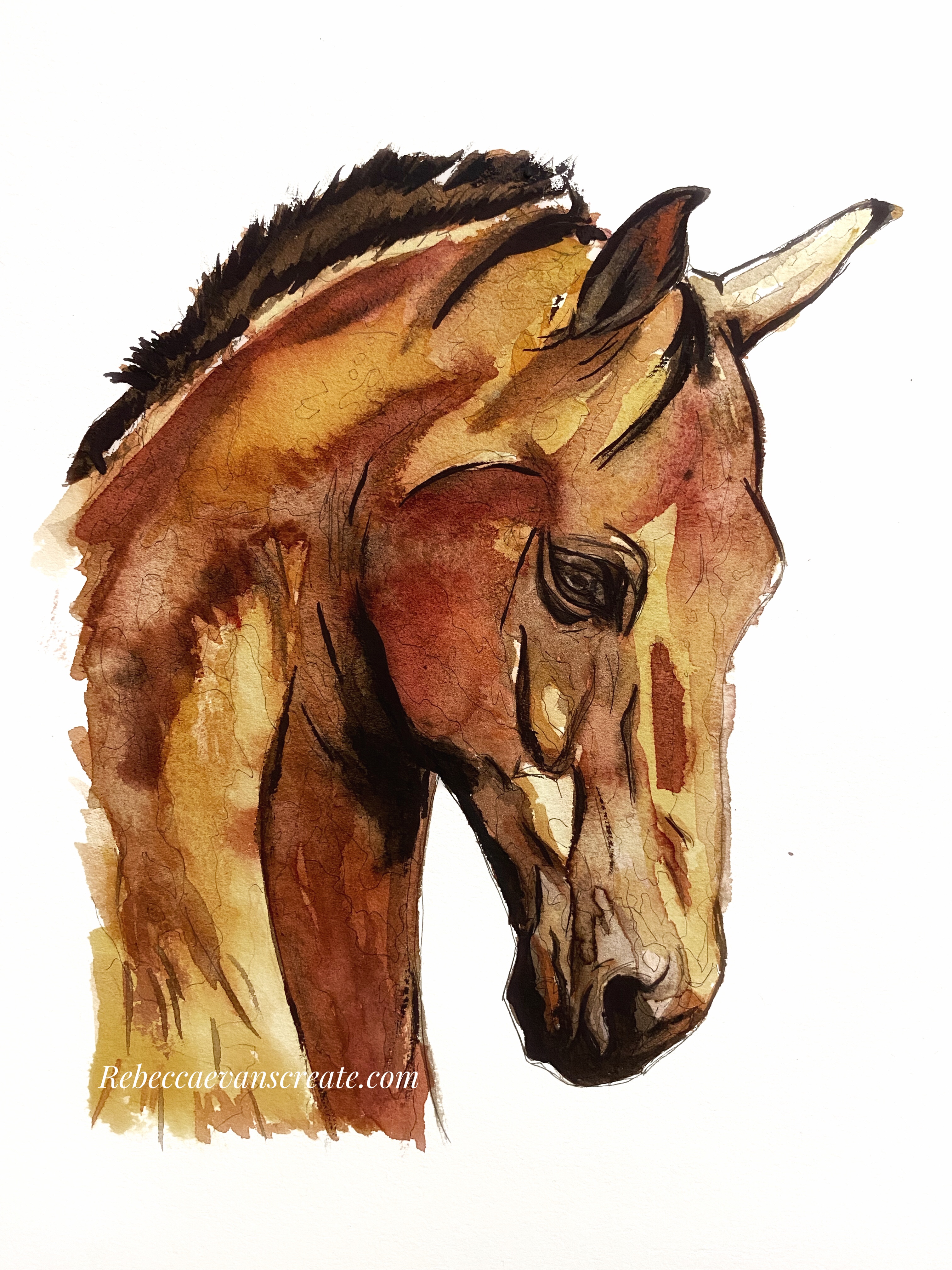 Update more than 218 horse sketch head