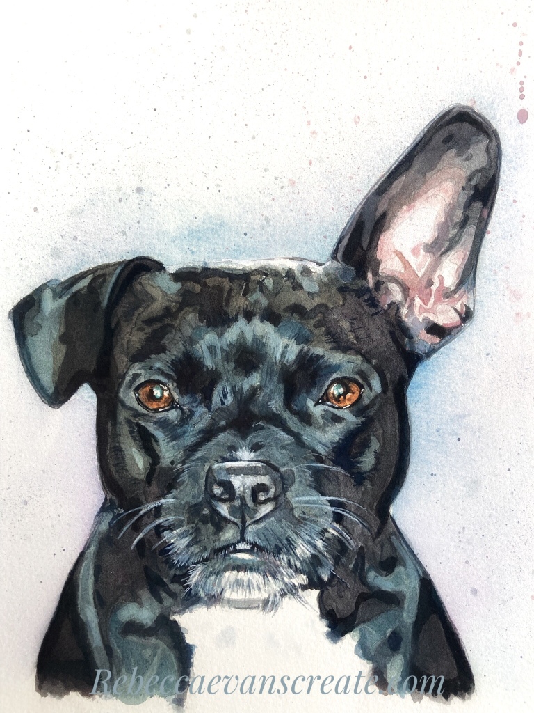 ‘Frankie’ staffie x frenchie watercolour quick play