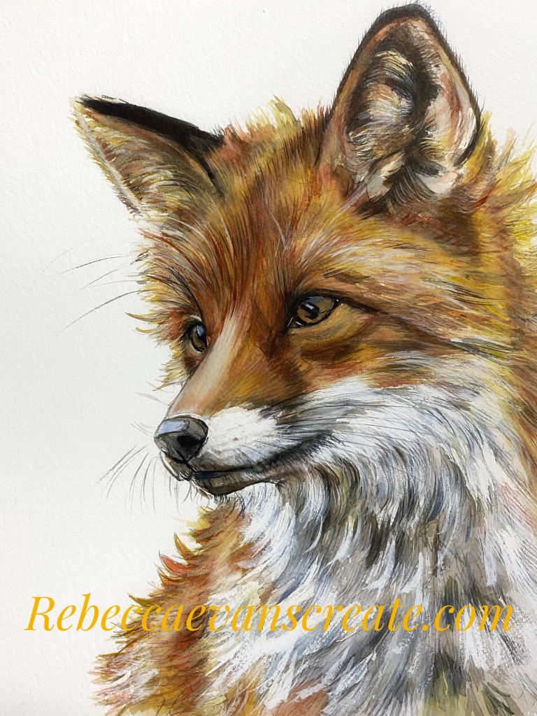 ‘Hope’ fox in watercolour